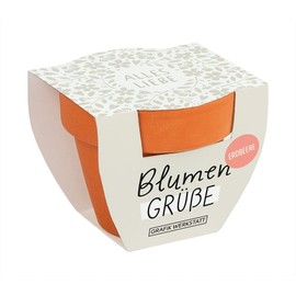 Grafik-Werkstatt Flower Greetings Summer Flower Mix | Mini Terracotta Potty with Seeds | Alles Liebe (Alles Liebe, Orange)