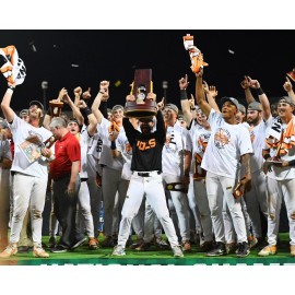 Champion 8x10 Photo TENNESSEE VOLUNTEERS 2024 World Series Baseball Champion TONY VITELLO