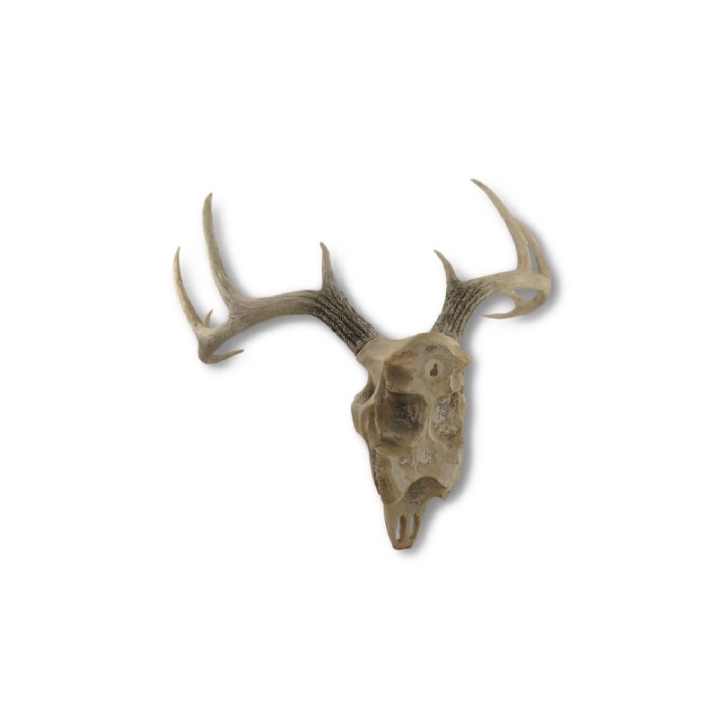 Things2Die4 Lifelike 10-Point Buck Deer Skull Replica - Exquisite Wall
