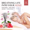 English Roses Scented Reed Diffuser Set with 8 Rattan Diffuser