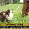 TINMARDA Dog Leashes for Medium Large Dogs Heavy Duty, 4-6FT