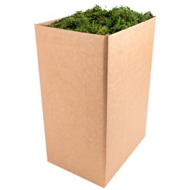 SuperMoss (25327) Forest Moss Preserved, Fresh Green, 10 Pounds