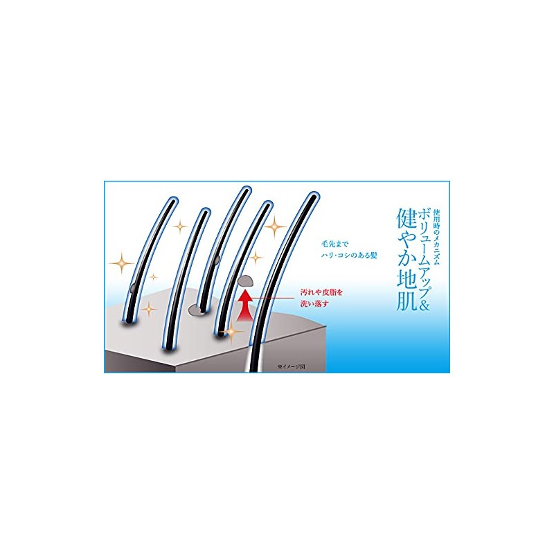 MARO 3D Volume Up Shampoo Cool 2020 13.5 fl oz