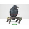 Raven - Collectible Figurine Statue Sculpture Figure Crow Bird Model