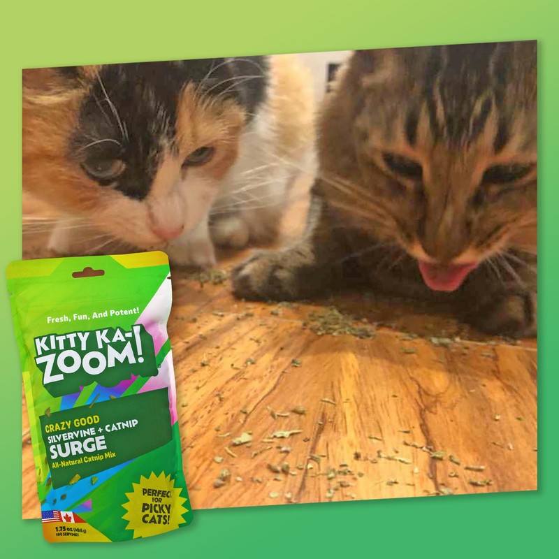KITTY KA-ZOOM Silverine Surge - Catnip & Silvervine Mix |