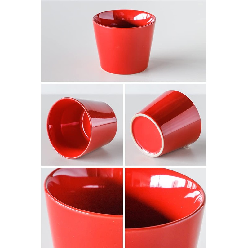 TAMAKI HINATA T-947814 Hinata Soba Choko Boar Mouth Diameter 3.2