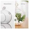 WGV Hanging Terrarium Globe, Width 8", Height 9", DIY Air