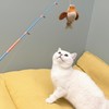 AGGER Cat Casting Fishing Pole Toy, Cat Casting Toy Set,