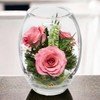 Fiora Flower | Long Lasting Real Roses in a Sealed