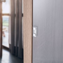 Gedotec Glass Door Magnet for Gluing, 1 Piece Magnetic Catch Double, Rustproof in Brushed Stainless Steel, Includes Magnetic Plate Magnetic Strip for Furniture Cabinet Door or Glass Door, Door Closer