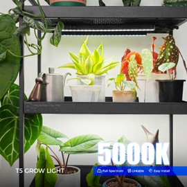 Barrina T5 Grow Lamp, 5000K, 29 cm, Full Spectrum Sunlight, Chainable, Magnetic LED Grow Light Bar with Switch, Plug and Play, Black Cover, Pack of 2