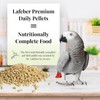 LAFEBER'S Parrot Pellets (Classic, 1.25 Ib Pack of 2)
