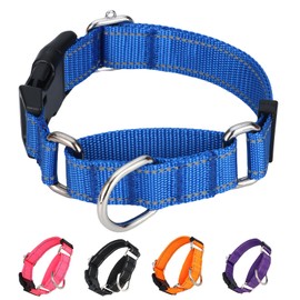 BXPAW Martingale Collar for Dogs,Reflective Martingale Dog Collars with Quick Release Buckle,Adjustable Nylon No Pull Dog Collar for Dogs Walking Training (Blue, Medium)
