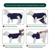 Kuoser Dog Surgery Suit Female Spay, Dog Recovery Suit Male