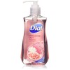 Dial Himalayan Pink Salt & Water Lily Hand Soap with