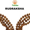 Naisha Natural Rudraksh 1001 Piece Loose RUDRAKSHA Beads Mala, Genuine