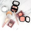Shobido SPV46970 W Eyeshadow Brush & Powder Brush Limited Set,