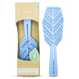 Planet Luxury Eco-Friendly Hair Brush w/Extra Soft Bristles, Detangler Hairbrush, Vented, Wet and Dry Hair For Women, Kids, Curly, Straight, Fine Hair Brush (Sky)