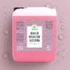 Agua de Rosas con Glicerina 5L Productos Mart Mexico Tónico