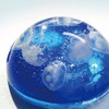 Resin Club Sea Moon Set of 2