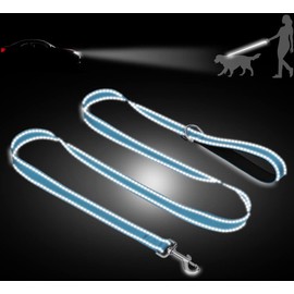 Taglory Dog Leash for Small Dogs, Double-Sided Reflective Dog Leash with Soft Neoprene Padded Handle, 3/4 inch by 6 ft, Fit Small Medium Large Breeds Dogs Under 20 lbs, Sky Blue