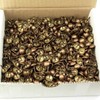C.S. Osborne 250 Pcs 3/4" Diameter Old Gold Speckled Red