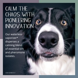 Tranquil Tails Aromatic Pheromone Refill Pads for Dogs, Calm Companion Scent, Pack of 7 Pads