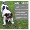 Vet Worthy Pet Potty Hydrant for Dogs