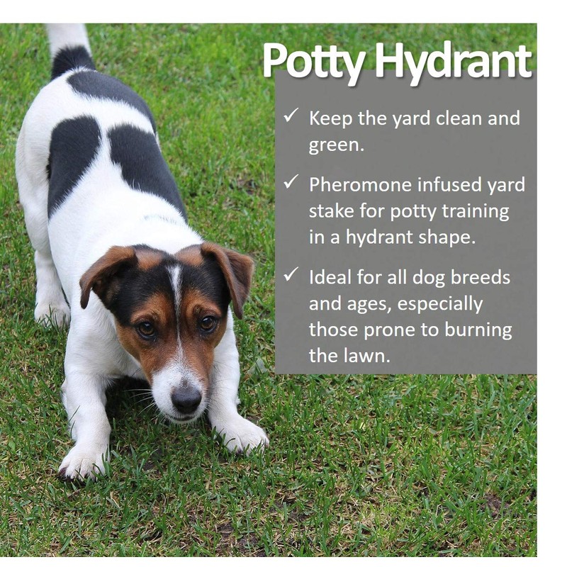 Vet Worthy Pet Potty Hydrant for Dogs