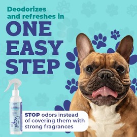 Nuesta Pets Pet Deodorant & Odor Neutralizer w/Oat & Aloe | Naturally Derived Quick-Drying Deodorizer Spray for Dogs | Safe on Carpets & Furniture | Pet-Safe & Hypoallergenic | Baby Powder Scent