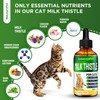 Сat Kidney Support | Milk Thistle for Cats | Herbal