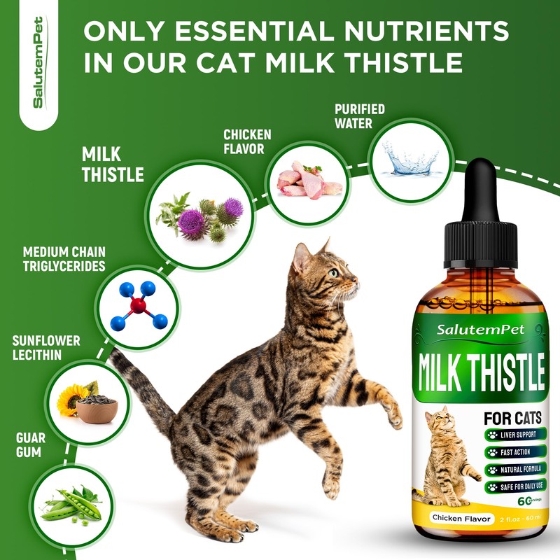 Сat Kidney Support | Milk Thistle for Cats | Herbal