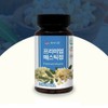 Baekse Food 프리미엄 매스틱정 위건강 위장보호 건강식품 600mg x 60정