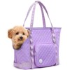 Pecute Dog Purse Carrier, Pet Carrier with Pockets for Small