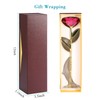 Long Stem Dipped 24k Gold Rose in Gift Box with
