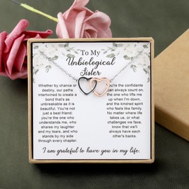 PYOUL Bonus Sister Gift, Unbiological Sister Necklace, Soul Sister Gifts from Sister, Sister in Law Necklace, BFF Birthday Gift, Best Friend Friendship Necklace, Metal