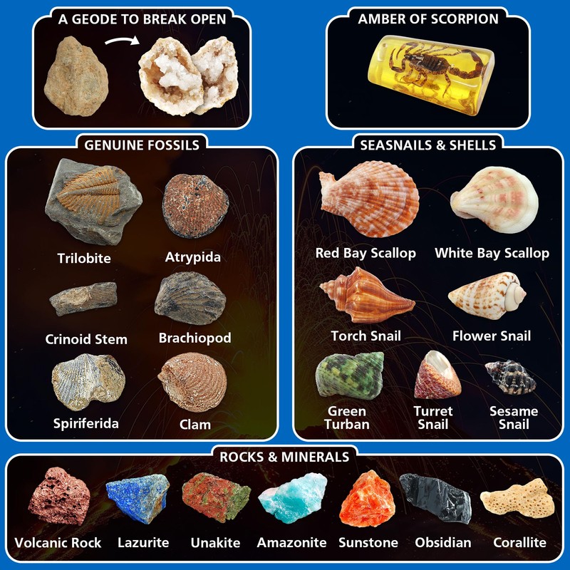 PIBEX Volcano & Ocean Fossil Dig Kit, Dig up 20+