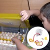 Joyzan Egg Turner Motor, AC Chicken Rotator Incubator Automatic Turntable