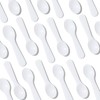 1000 PCS Mini Tasting Spoons 3 Inch Disposable Small Taster