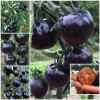 ZEshops 100pcs European Black Cherry Tomato Seeds - Heirloom, Non-GMO,