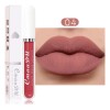 Set 10 Labiales Líquidos Mate Cmaadu Larga Duración 01