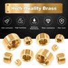 Rustak 23 Pcs Brass Pipe Plugs Assortment Set 1/8" 1/4"