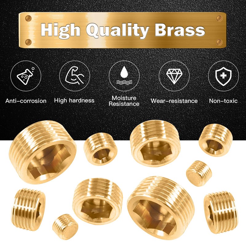 Rustak 23 Pcs Brass Pipe Plugs Assortment Set 1/8" 1/4"