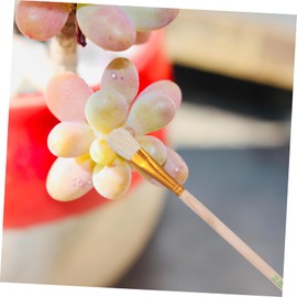 Operitacx 8pcs Artificial Chalk Outside Rugs Brusher Fruit Pollinator Tools Paint Round Pollination Brush Succulent Kit Round Area Rug Rattan Fish Decorations The Face Duster Child Wood