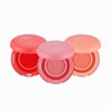 The Face Shop Moisture Cushion Blusher 8g / 더페이스샵 수분 쿠션 블러셔 8g
