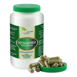 Vita ideal vegan® Orthosiphon Leaves 360 Capsules - Cat Beard - Daily Serving 500 mg, Pure Natural Powder without Additives, Original by Vitaideal