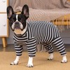 Dog Surgery Recovery Suit Protecting Wounds and Preventing Infection,Medical Suit