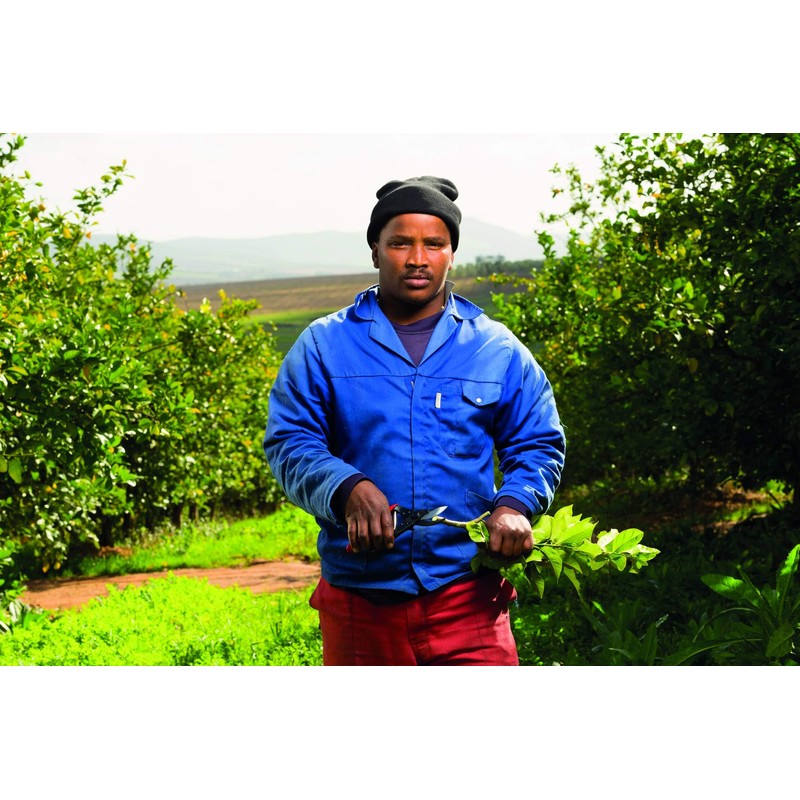 Felco F5 Pruning Shears – 8.9" Swiss-Made Garden Clippers with