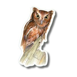 Earth Sky + Water - Eastern Screech Owl - 3.5″ Sticker
