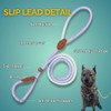 Bee N Buu Dog Leash - Slip Leads for Dogs,
